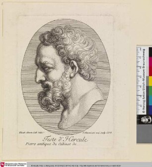 Teste d'Hercule