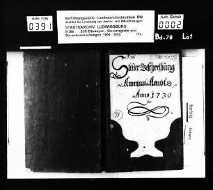 Steuerbeschreibungen und Steuerregister im Ammanamt