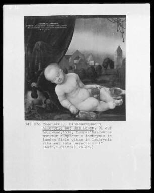 Allegorie auf das Leben