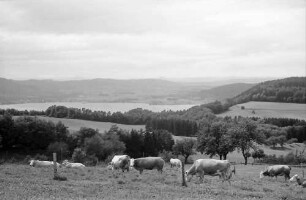 Überlingen, Haldenhof: Blick am Haldenhof auf Landschaft und See