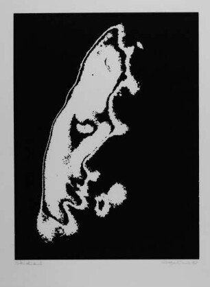 Studie : Studie II (Lichtzeichnung eines Gesichtes). 50,1 x 35 cm Blattgröße, 39,2 x 29,2 cm Bildgröße. 1970