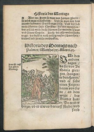 Historia des Montags nach Palmen/ Matthei xxi. Marci. xi.