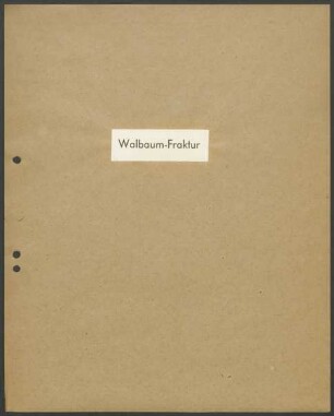 Schriftproben und Bestellungen des Schrifttyps "Walbaum Fraktur"