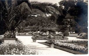 Palmengarten im Kurpark