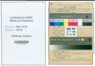 Entnazifizierung Eckard Wildtraut , geb. 08.07.1903 (Kaufmann)