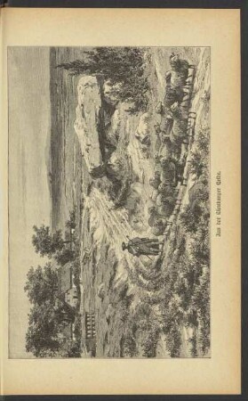 Aus der Lüneburger Heide