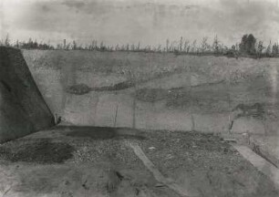 Dresden-Strehlen. Geologischer Aufschluß an der Ackermannstraße. Stauchungen und Verknetungen zwischen Geschiebelehm und Brogniartimergel