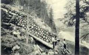 Holztransport am Königsee