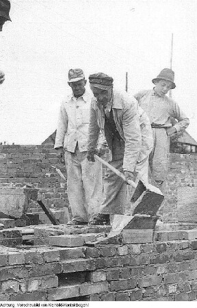 Dresden, VEB Bau-Union Dresden, neue Maurer-Methode, Juli 1952