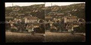 Blick auf Dorf Ziegenhain mit Fuchsturm im Hintergrund