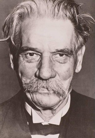 Porträt Albert Schweitzer