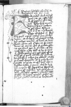Ludolfus Saxo Carthusiensis de vita Christi - BSB Clm 14772