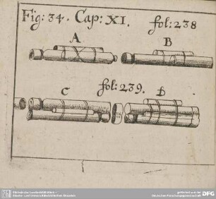 Fig: 34. Cap: XI. fol: 238. fol: 239.