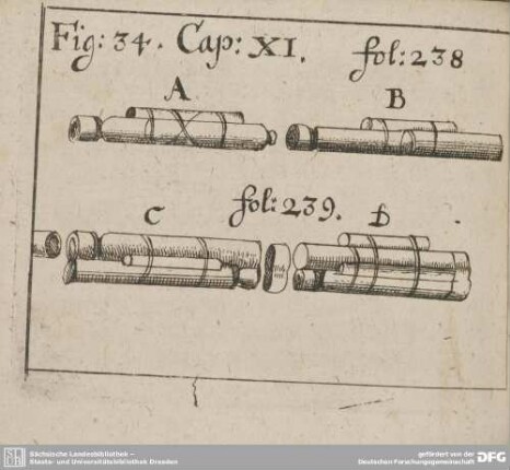 Fig: 34. Cap: XI. fol: 238. fol: 239.