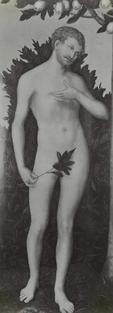 Adam