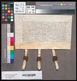 Hermann von Tomberg (Thoenburch) verkauft an Herzog Rainald von Jülich- Geldern sein ererbtes Gut zu Euskirchen.