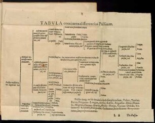 Tabula continens differentias Pulsuum.