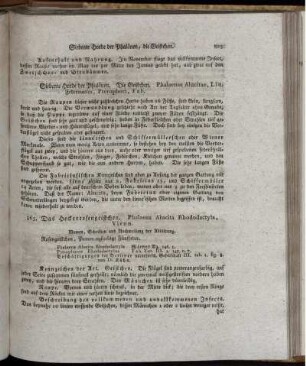 Siebte Horde der Phalänen. Geistchen.