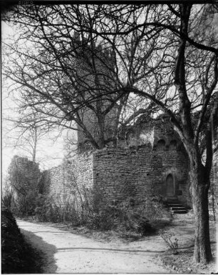 Obergrombach Burgansicht von Süden