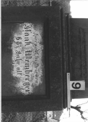 Grabstein 9 (Index: 99805013) Material: Sandstein Zustand: deutsche Inschrift im Sockel verwittert Maße HxBxT: 193x61x29 cm Beschreibung: Stele auf Doppelsockel mit Rundbogen, Inschriftennische rechteckig mit zwei Kleeblattbögen als Verzierung, Inschriftennische im Sockel querrechteckig Symbolik: Engel im Rundbogen, Blattornamentik am Rundbogen Besonderheit: kulturhistorisch wertvoll / künstl.-formale Gründe: Grabstein 9 (Detailaufnahme)