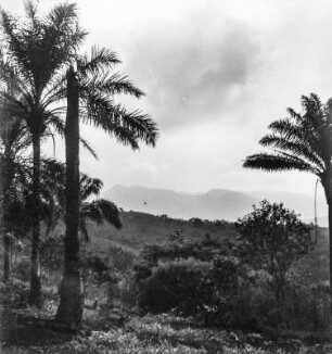 Berglandschaft (Kamerunreise 1937)