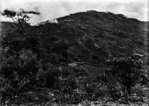 Berglandschaft (Südamerikareise 1926-1929)