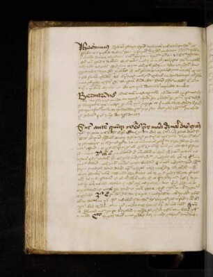 Bernardus Claraevallensis: Sermo II in adventu domini. Excerptum. Bernardus: Domina nostra mediatrix nostra advocata nostra …