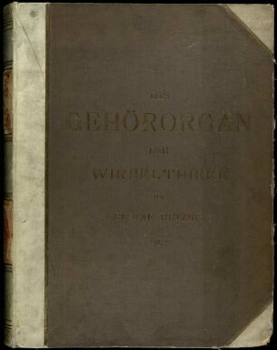 Das Gehörorgan der Wirbelthiere : morphologisch-histologische Studien, 2.. Das Gehörorgan der Reptilien, der Vögel und der Säugethiere
