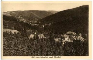 Bärenfels. Blick von Bärenfels nach Kipsdorf