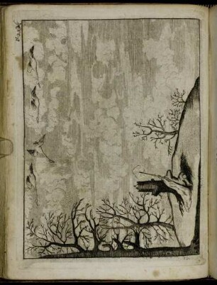 No. 10.