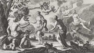 Visus (Sehen)