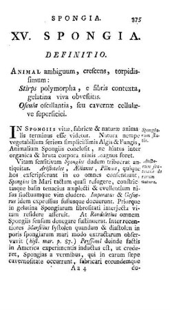 XV. Spongia