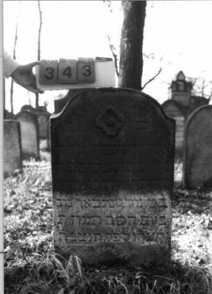 Grabstein 343 (Index: 100115791) Material: Sandstein Zustand: verwittert Maße HxBxT: 90x56x13 cm Beschreibung: Stele mit eingezogenem Segmentbogenabschluß Symbolik: Blüte: Grabstein 343