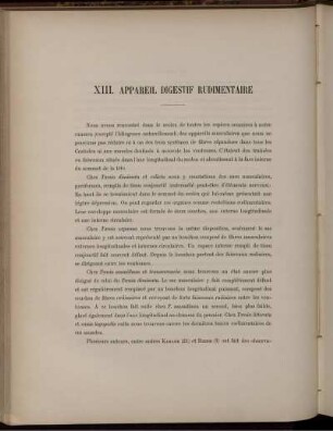 XIII. Appareil Digestif Rudimentaire