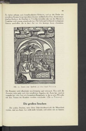 Die großen Seuchen