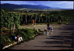 Batzenberg: Spaziergänger und spielende Kinder auf Weinbergstraße