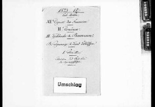 Miszellen: Mobiliar und Etat (1823-1890)