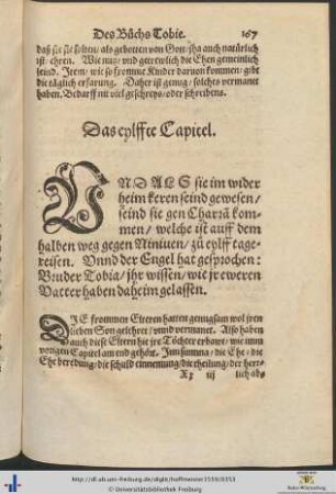Das eylffte Capitel