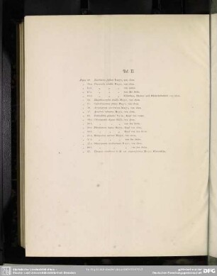 Taf. II