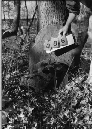 Grabstein 386