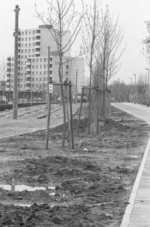 Bau einer neuen Straßenbahnlinie Nr. 6 über das Beiertheimer Feld nach Oberreut