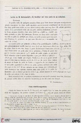 2: Poids sémitico-égyptiens