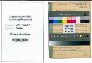 Entnazifizierung Annemarie Steves, geb. 02.08.1918 (Lehrerin)