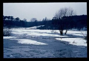 Havel Lieper Bucht 8.2.69.