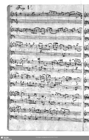 Fuga V. [HWV 608]