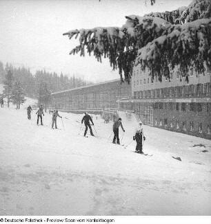 Wintersport (Skilaufen)