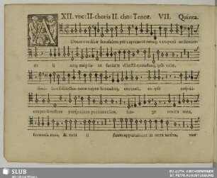 VII. Adiuro vos filiae Jerusalem