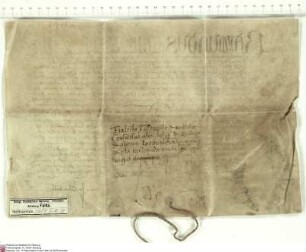 Raymund Peraudi, Archidiakon von Aunis (Alnisiensis) in der Diözese Saintes [Dép. Charente-Maritime] (Xanctonensis), Magister der Theologie, päpst...