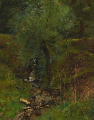 Weide am Bach