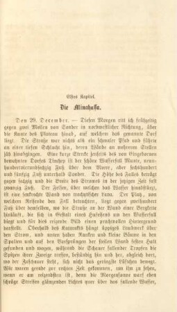 Elftes Kapitel. Die Minahassa
